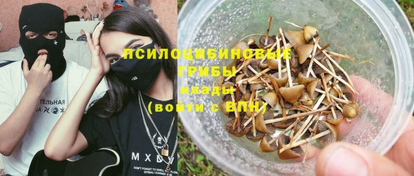 Альфа ПВП Алзамай
