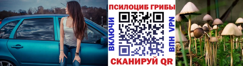 Галлюциногенные грибы Psilocybe  Купить где  Советск 